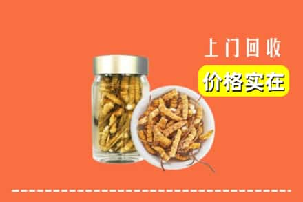 高价收购:昆明禄劝县上门回收散虫草